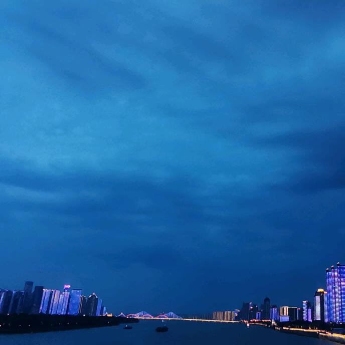 在可可托海旁的昆虫