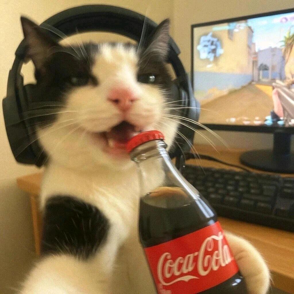 Sssneko