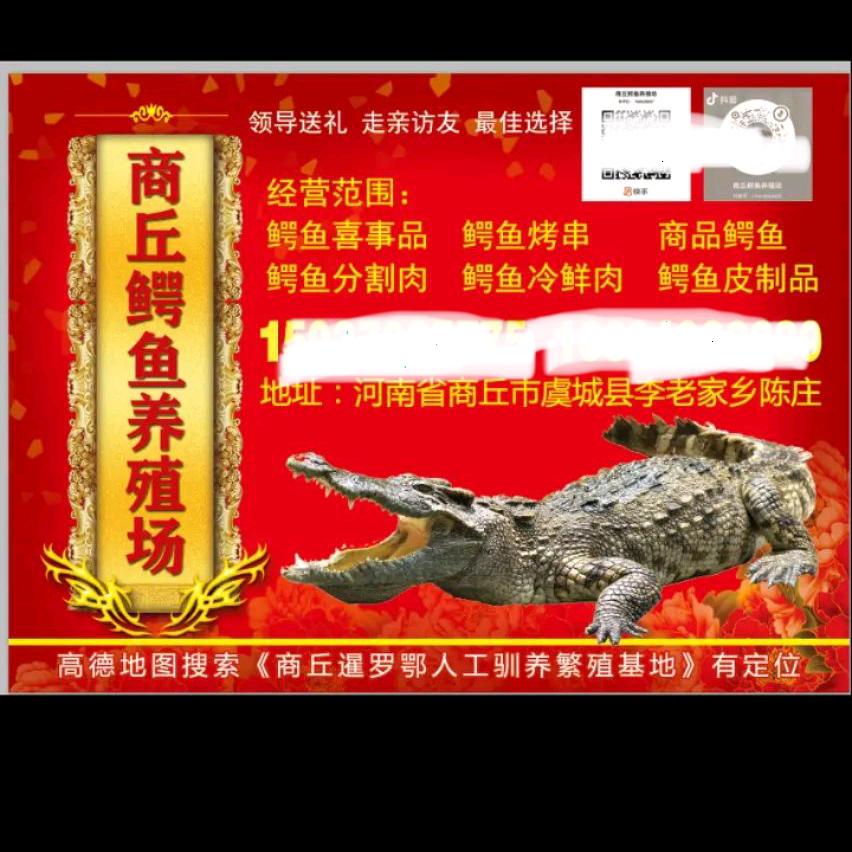 商丘鳄鱼养殖场2