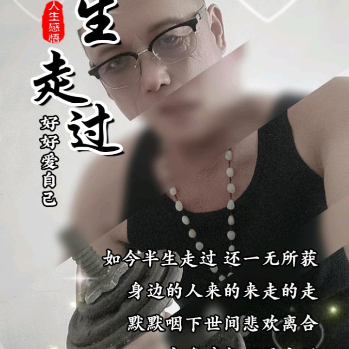 生猪调运