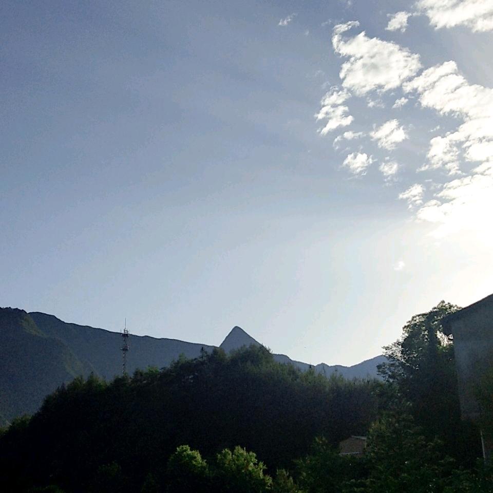 再见已是陌生人