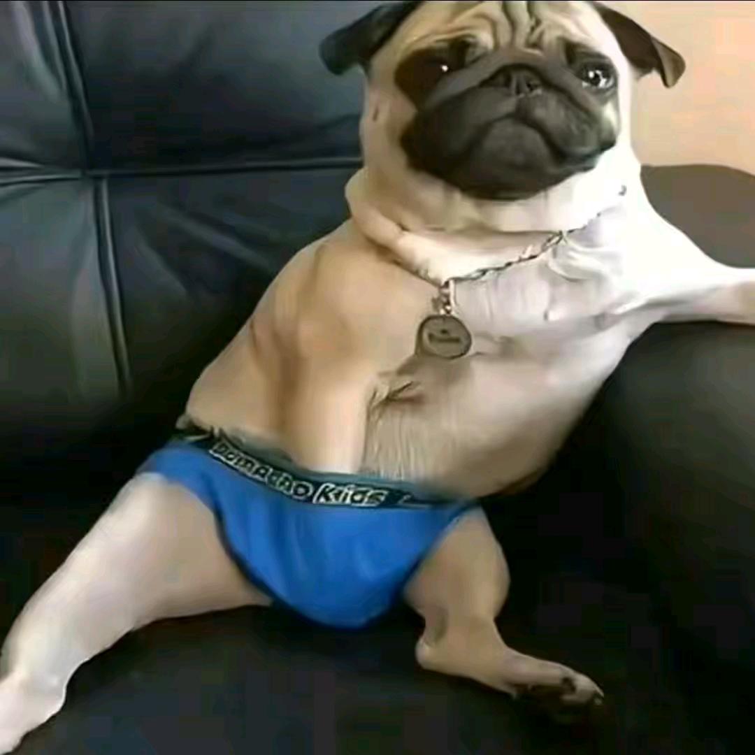 随遇而安