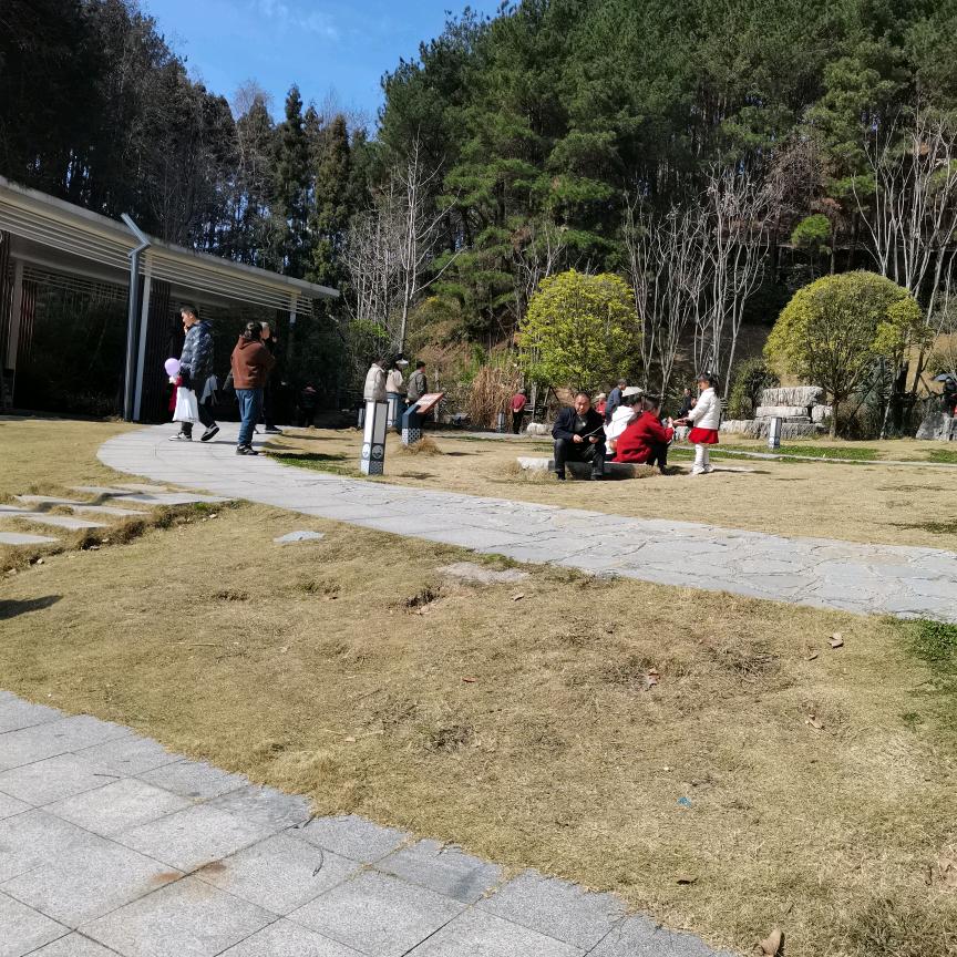 逍遥子