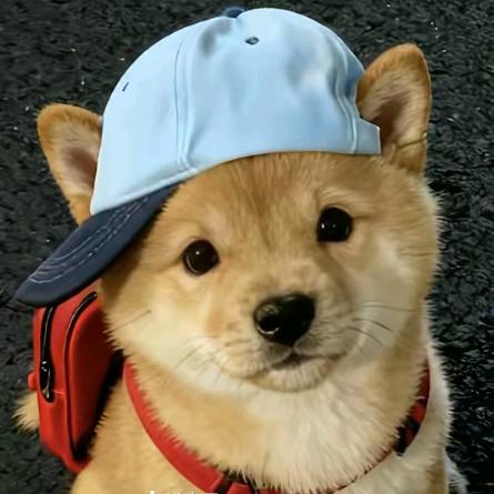 雨是神的烟花ᠪᠤᠷᠤᠭᠠᠨ