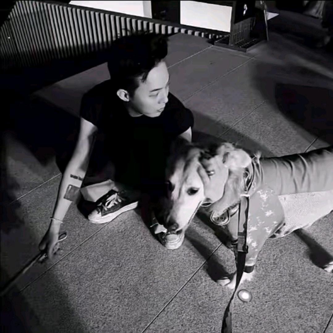 ㅤㅤㅤㅤㅤㅤㅤㅤ