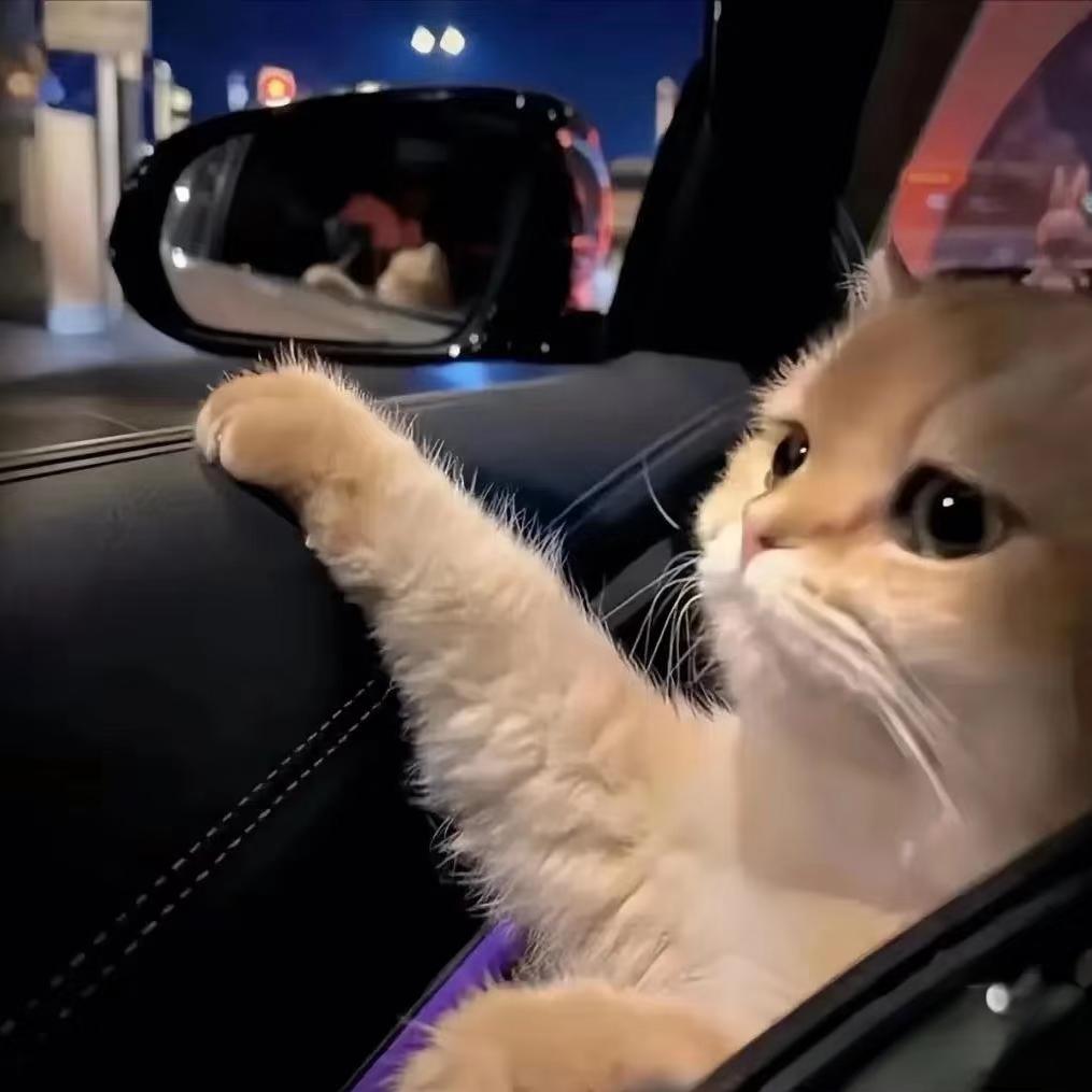 白月my🤍