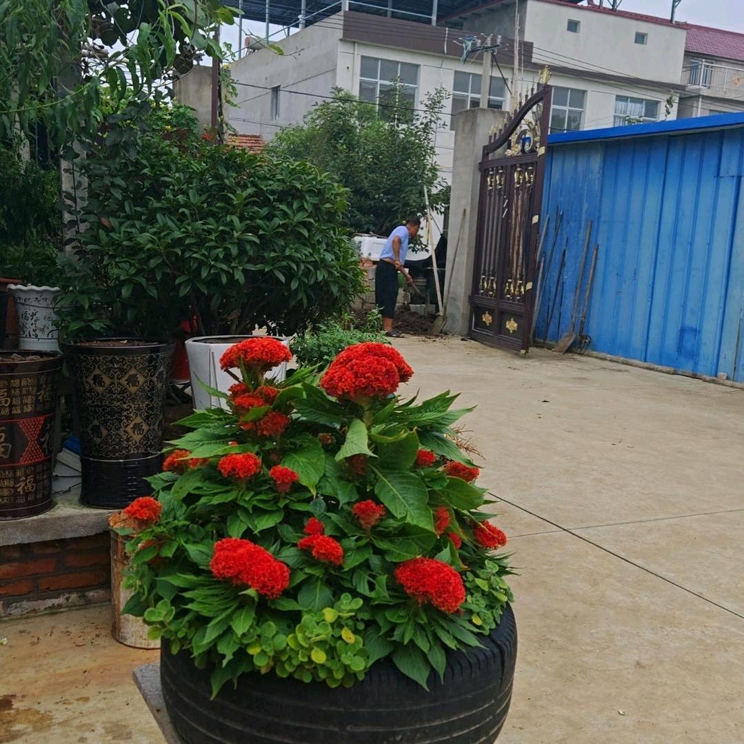 我好累却无路可退拒绝私聊