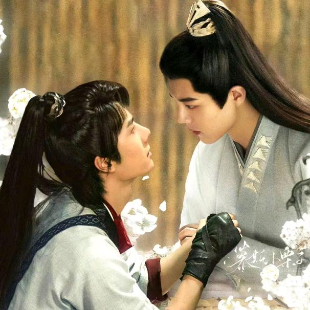 兔子vs狮子《博肖一生一世》