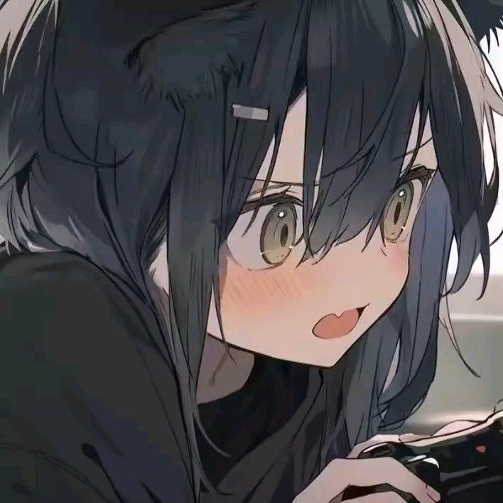 我不玩gal