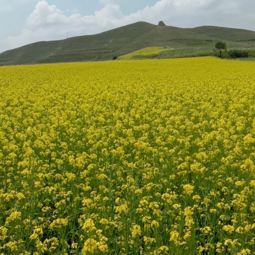 别样兄弟，，，