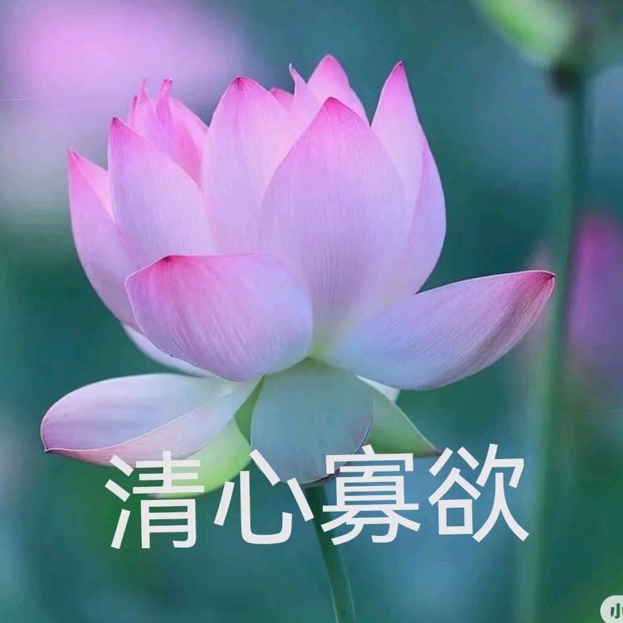 鲜果爸比
