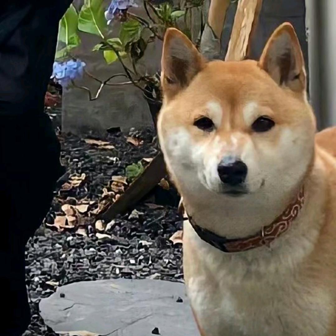 13.14万亿叻、一