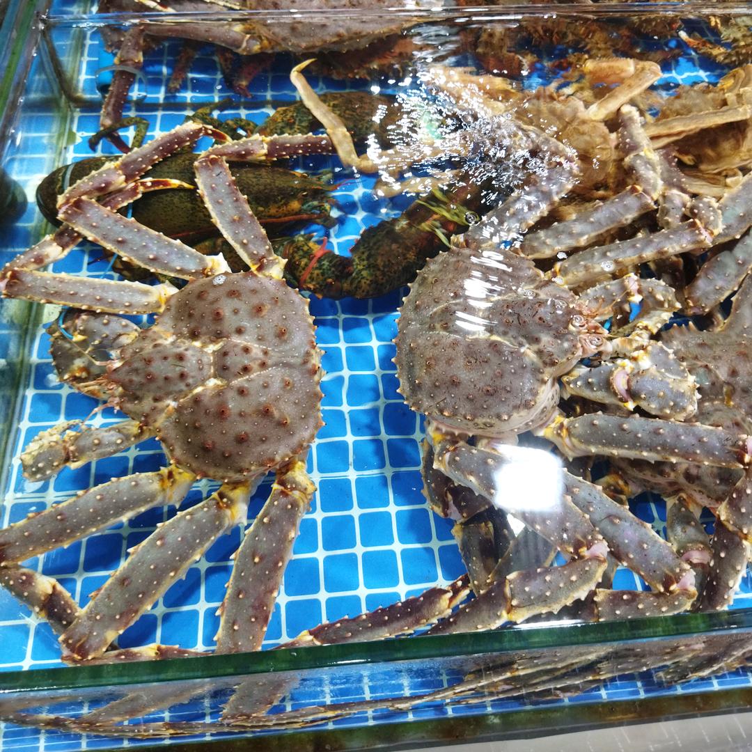 茉莉花开香飘万家