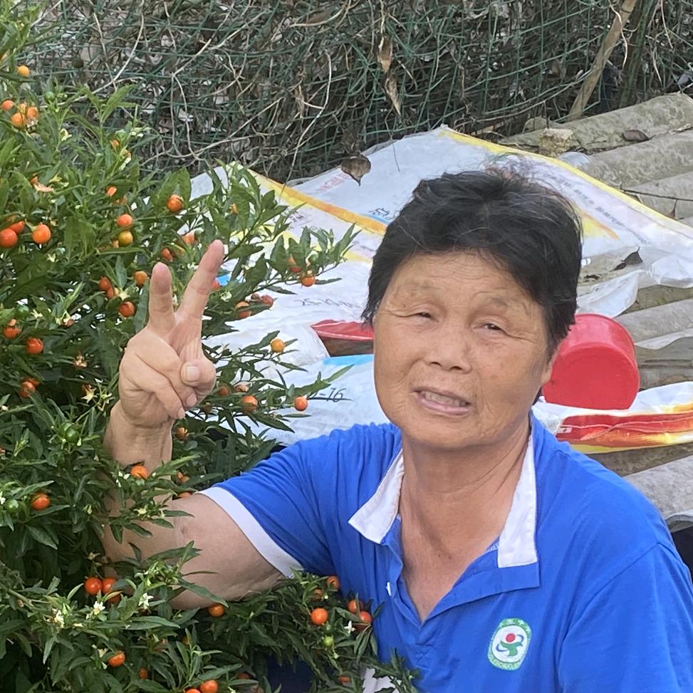 德珍