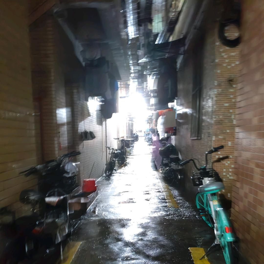 骤鼬