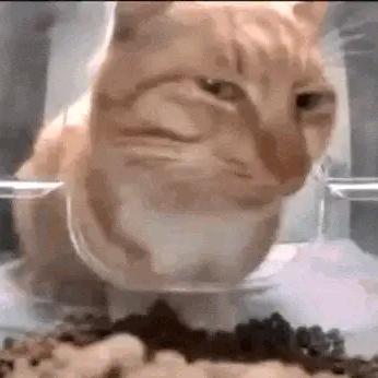 翻过来看看