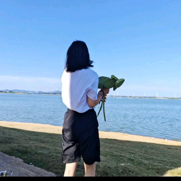 鑫鑫姐