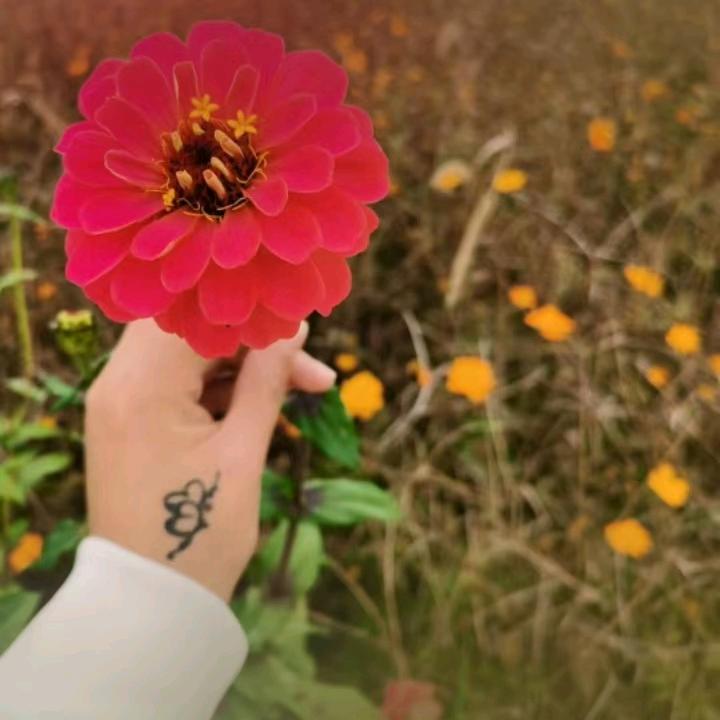 依然