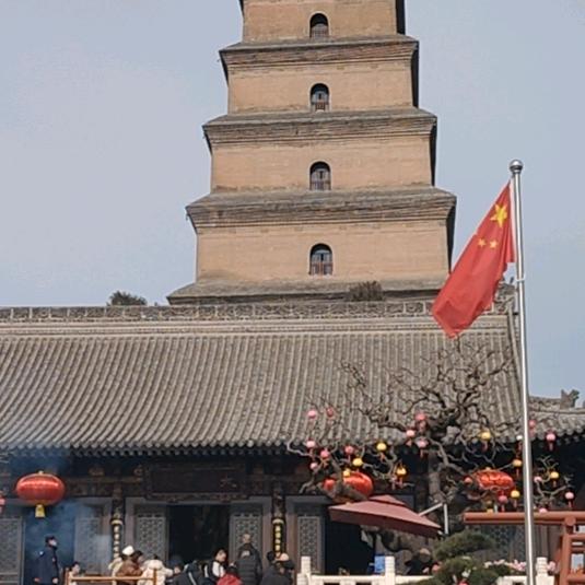 残疾木业