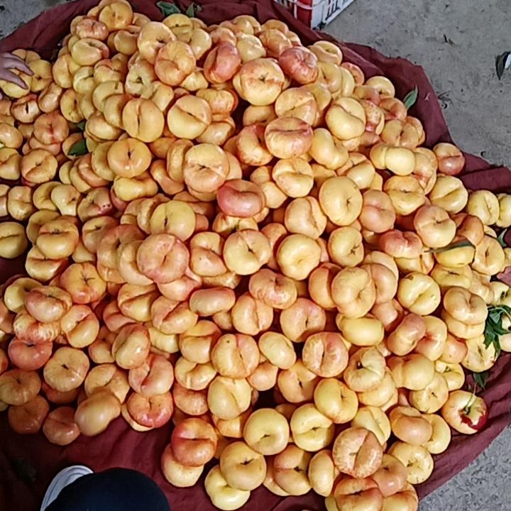 山东90后“桃鲜果香”