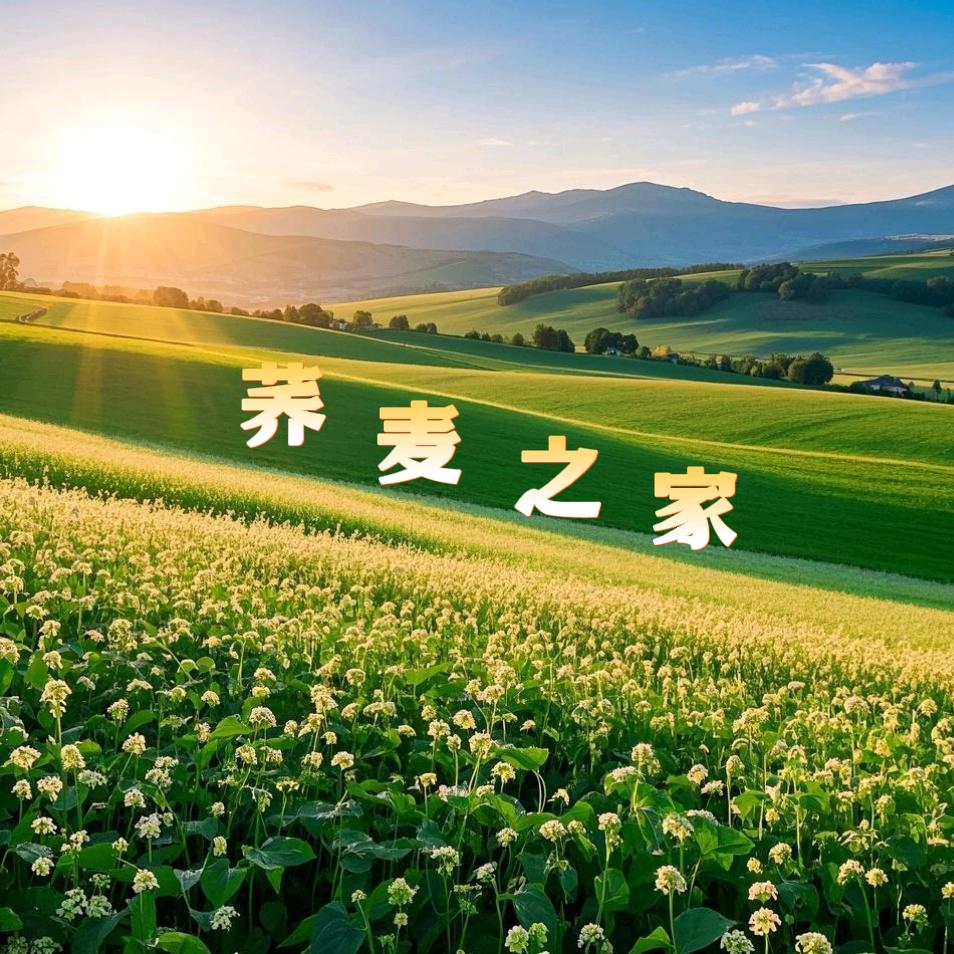 荞麦之家
