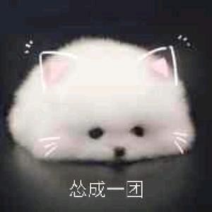 旧人.