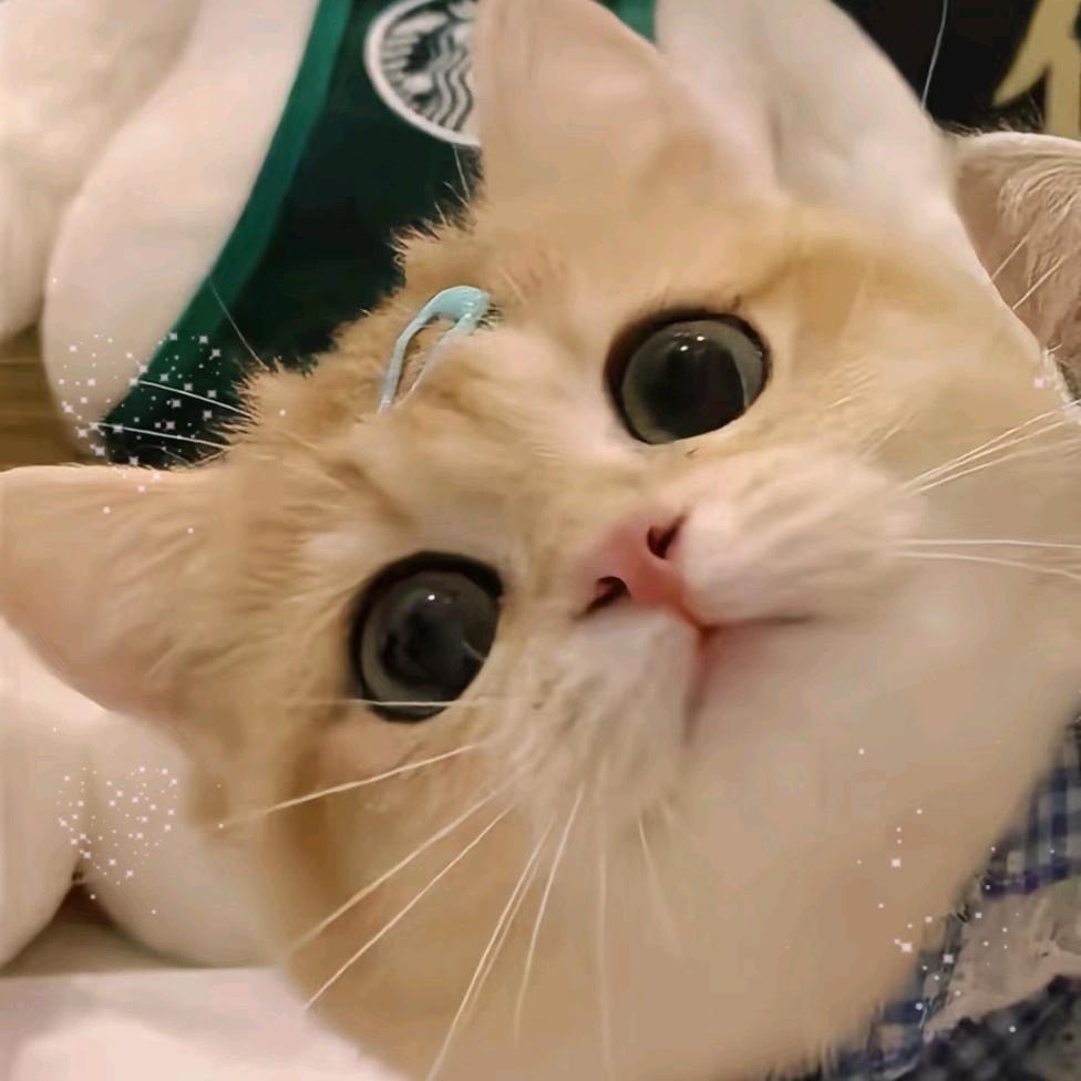 断渊