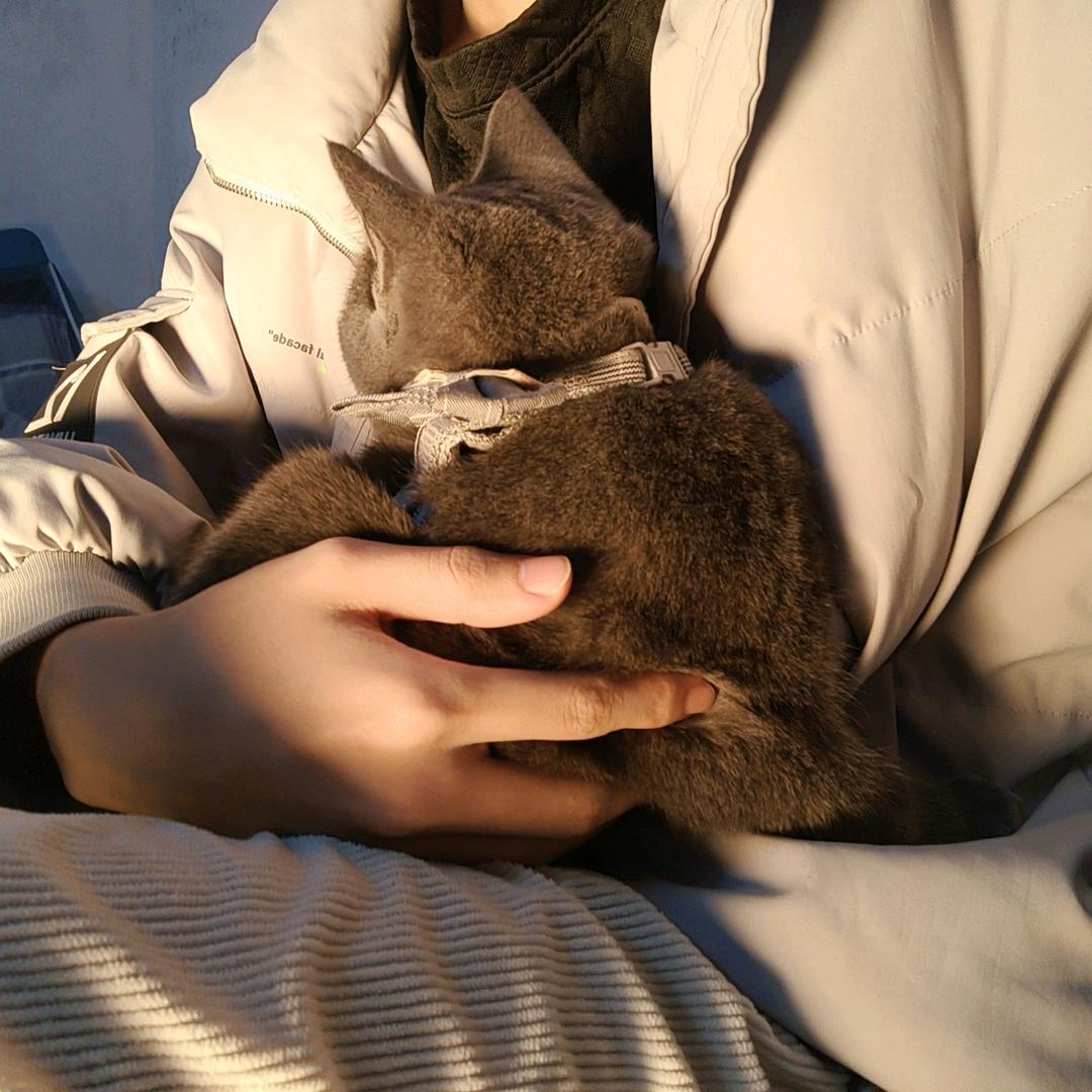 橘色的海
