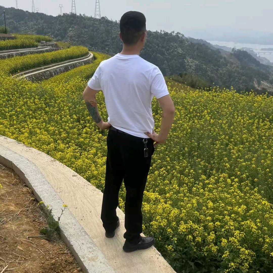 飞你不可