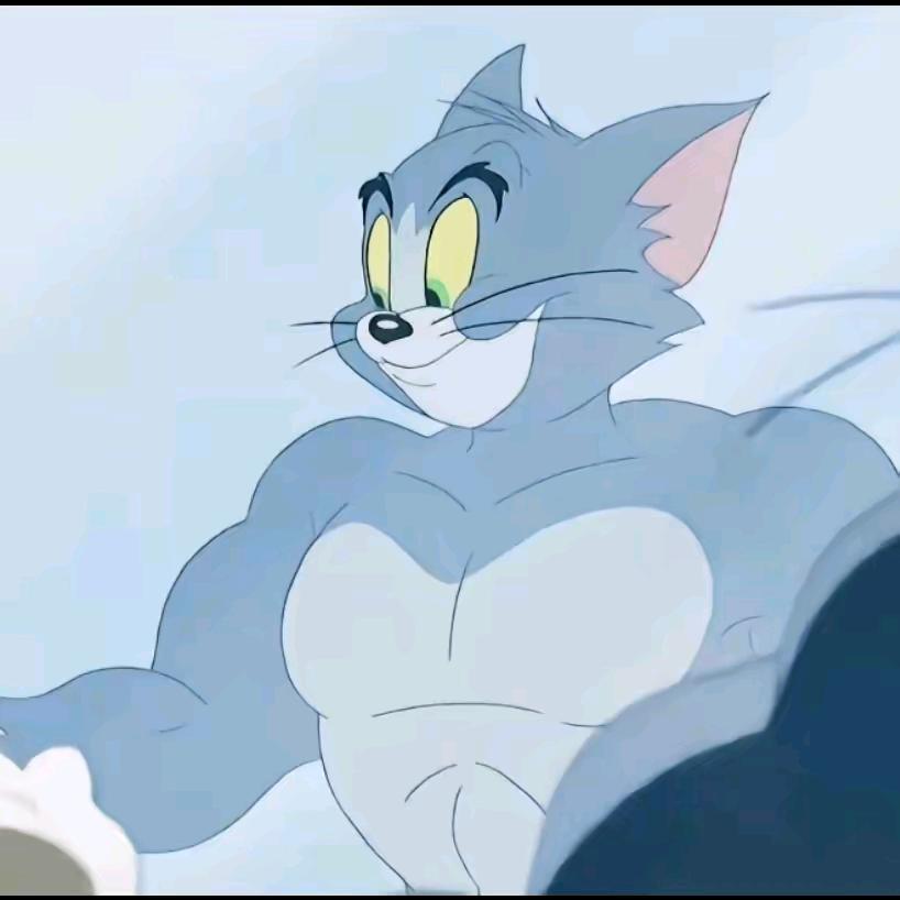 Tommy是只猫