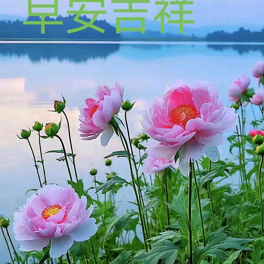 秋百果定制  团体 中式衣服  职业装