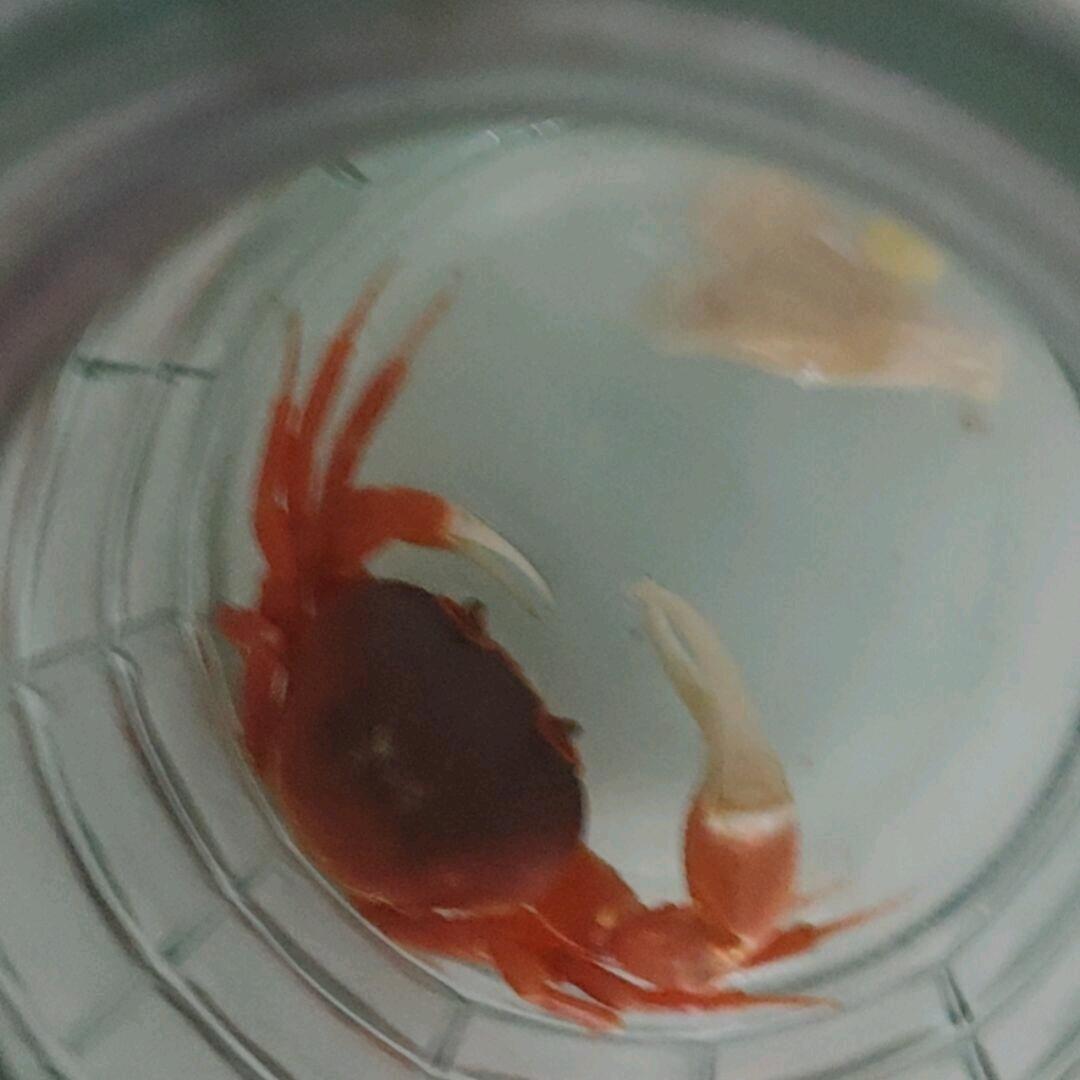 一点一滴