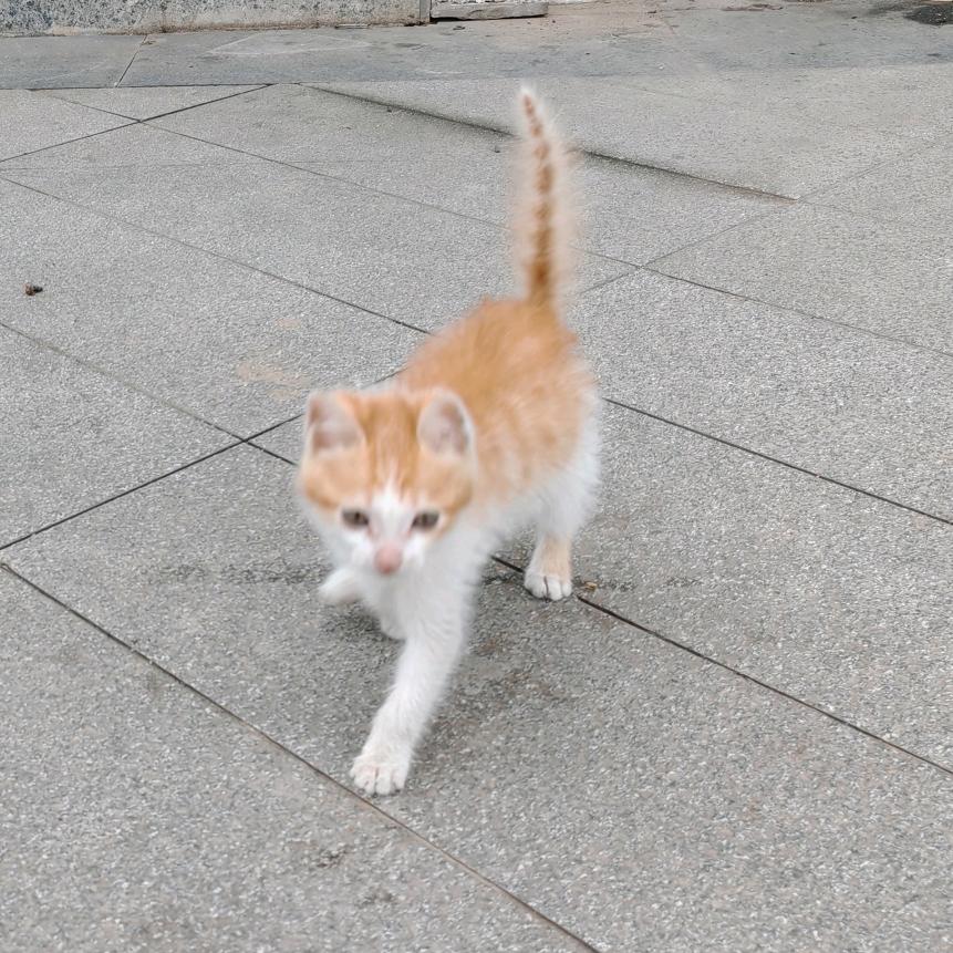 沐沐
