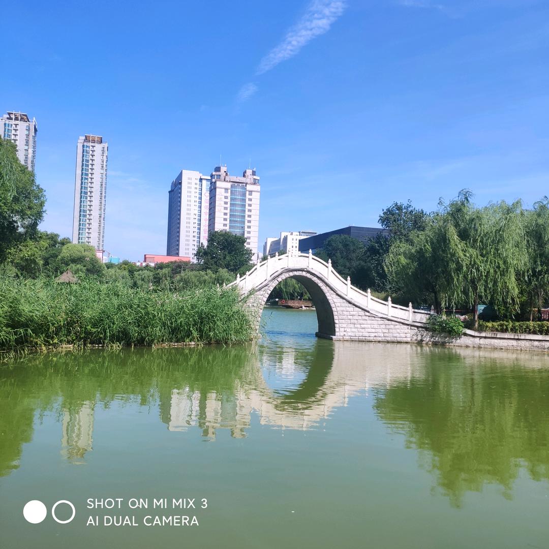 💰且停且忘且随风💰