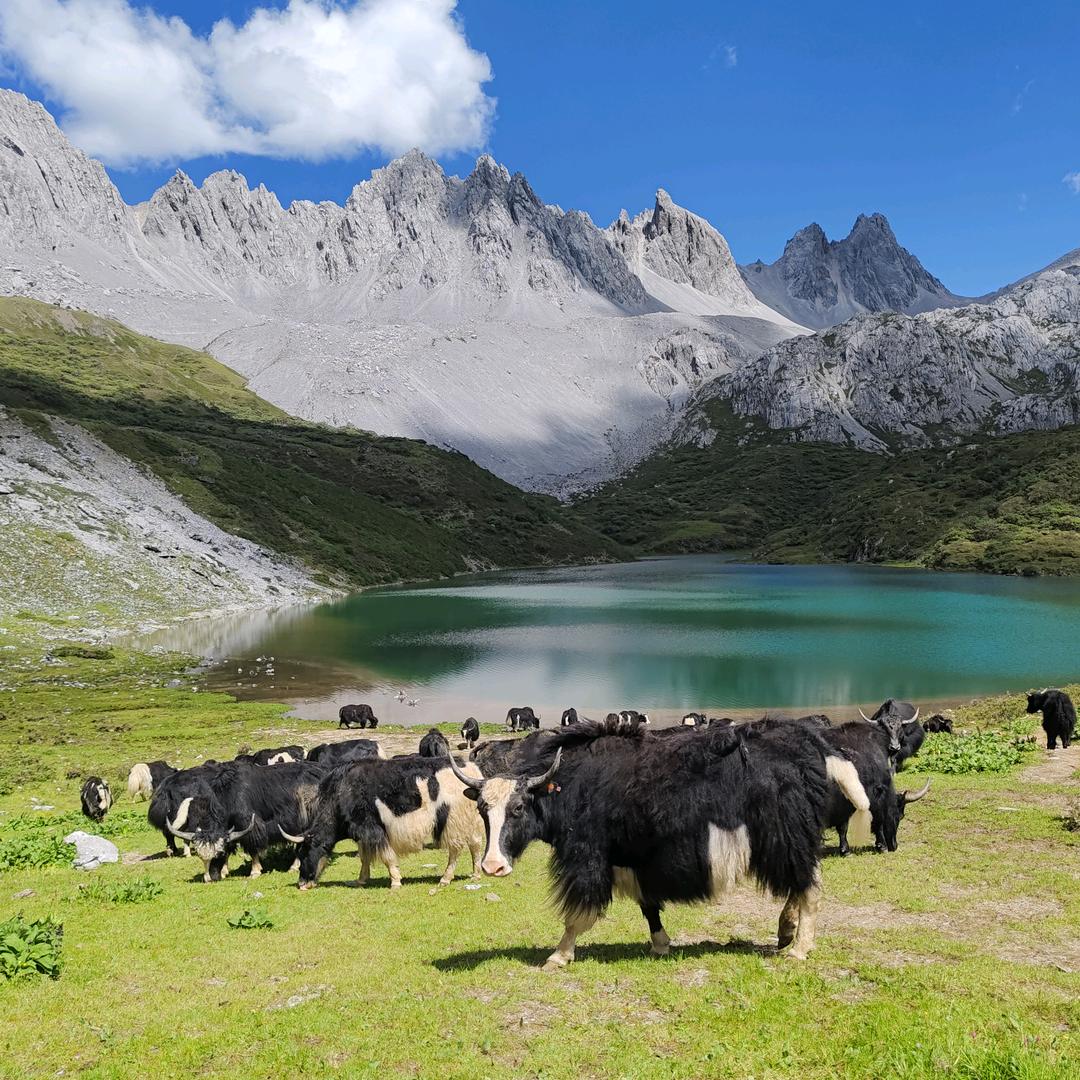 @宗霸牧人（孜奔）