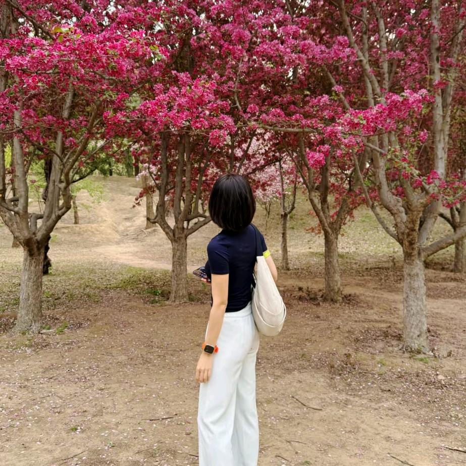 莫妮卡