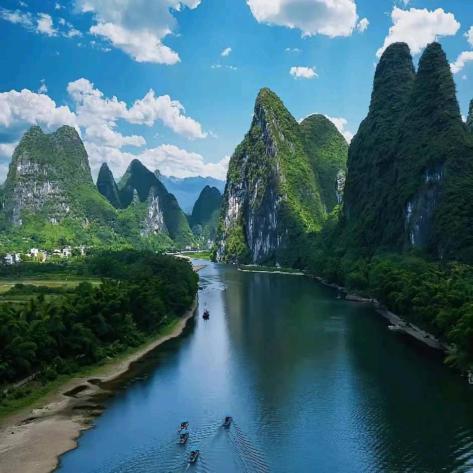 温育楠