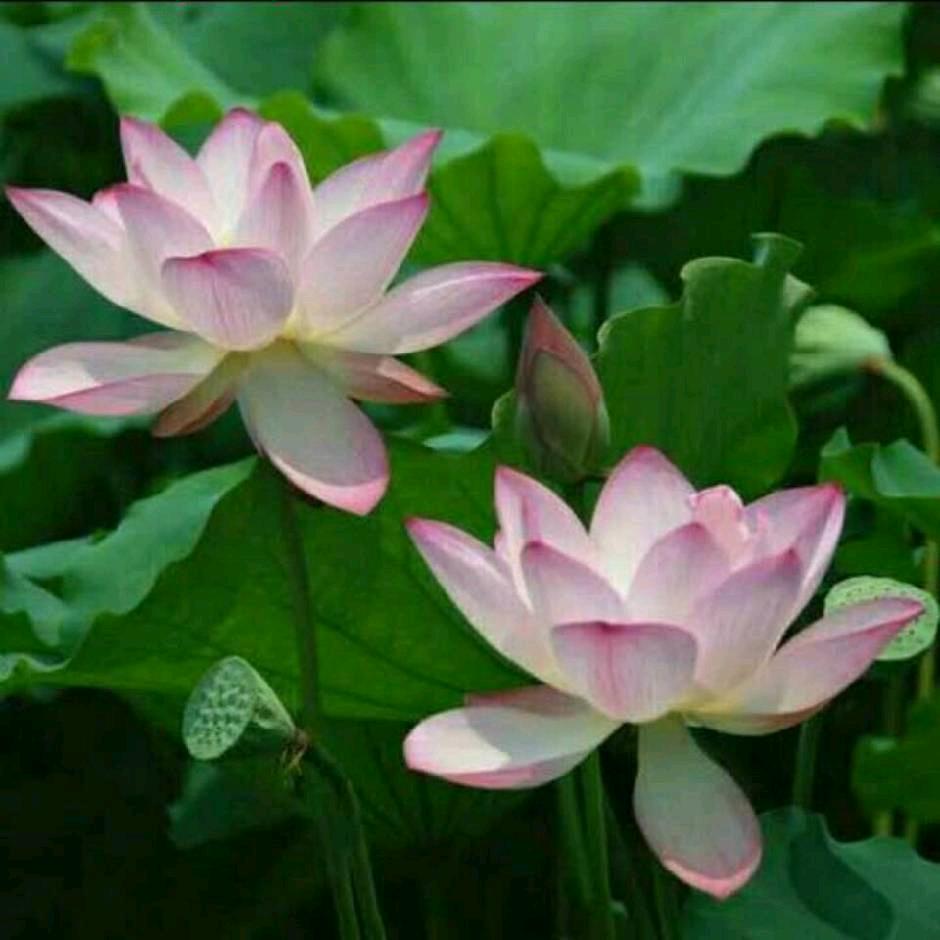 静：尽在不言中。