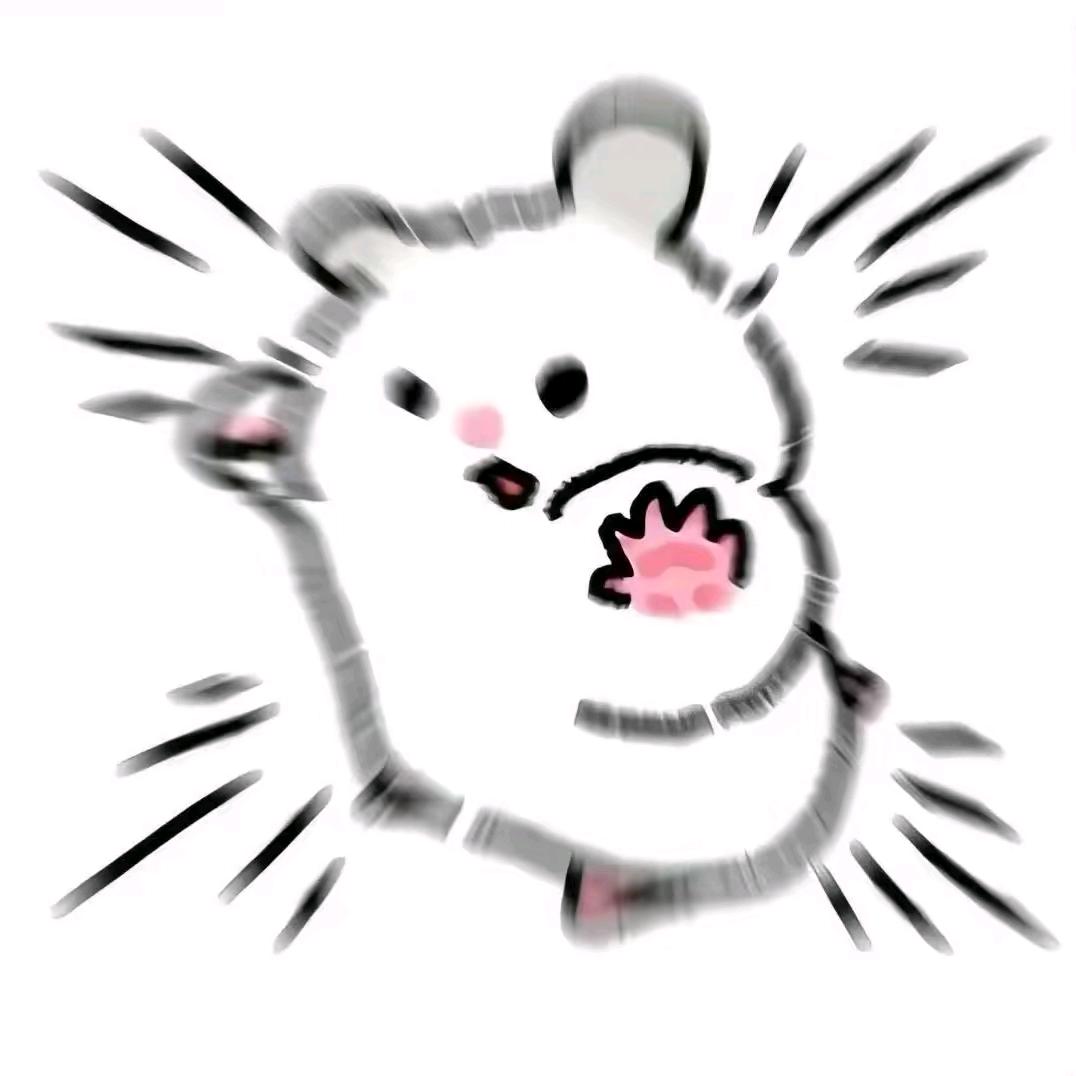 AAA鱼丸批发姜老板