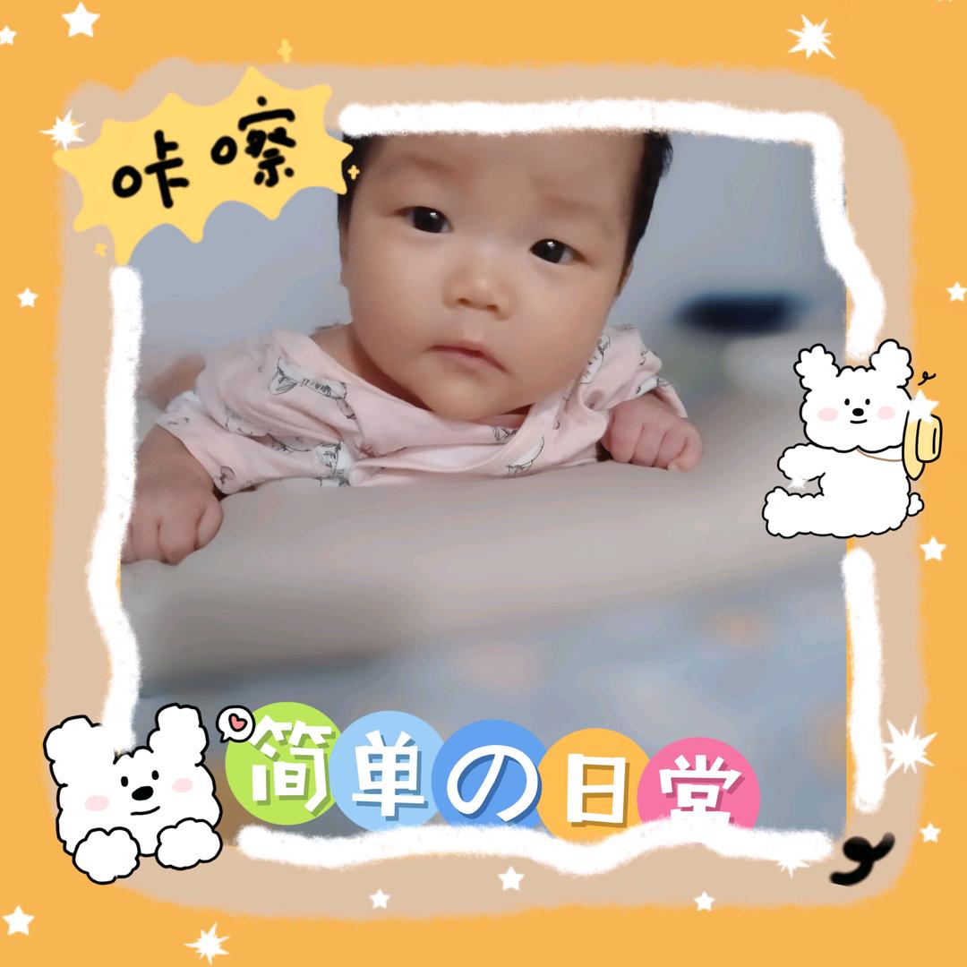 和小小马的生活日常