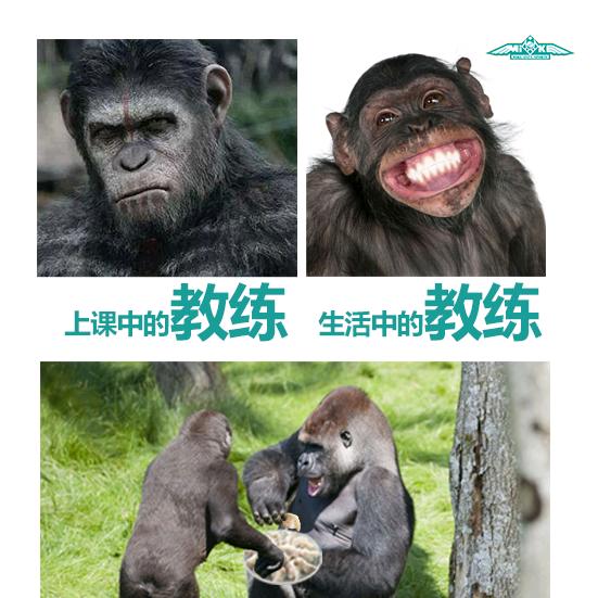 BJ枫柏篮球学院MicFlyAcdmy