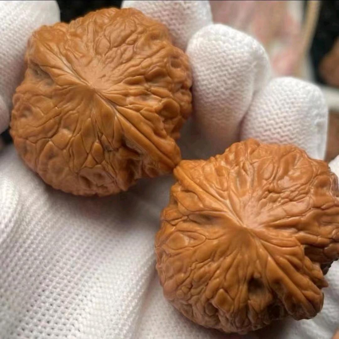 沣哥文玩