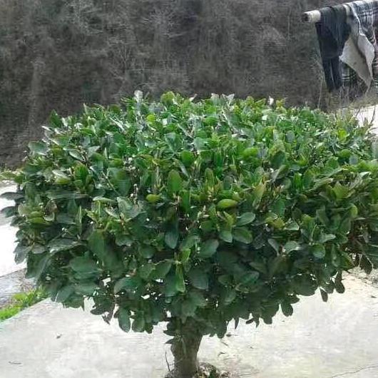 这一路