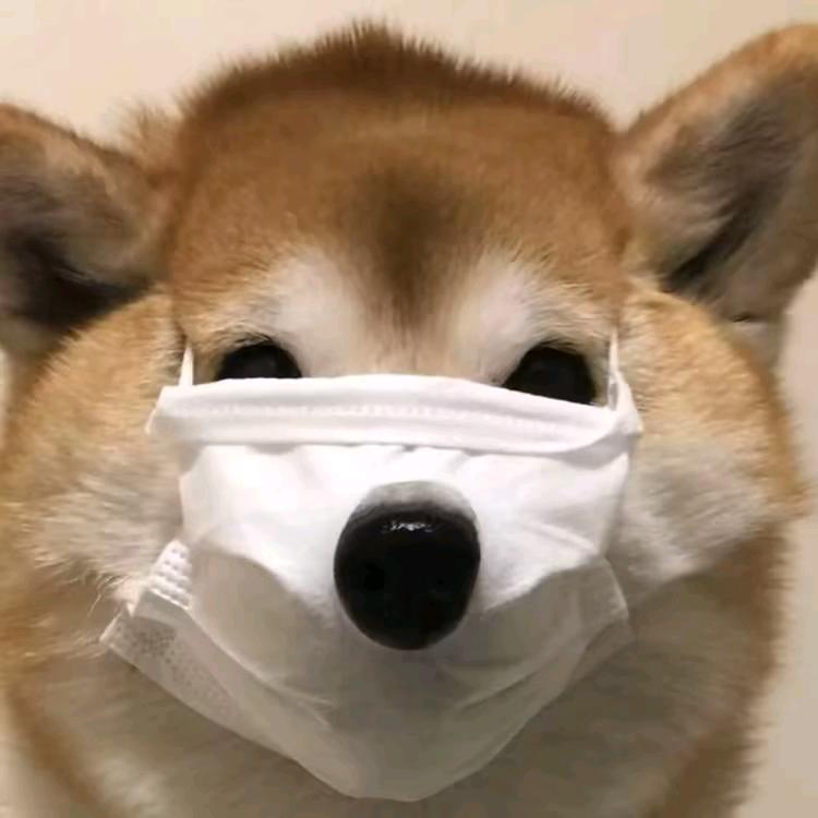 和平精英夜枭