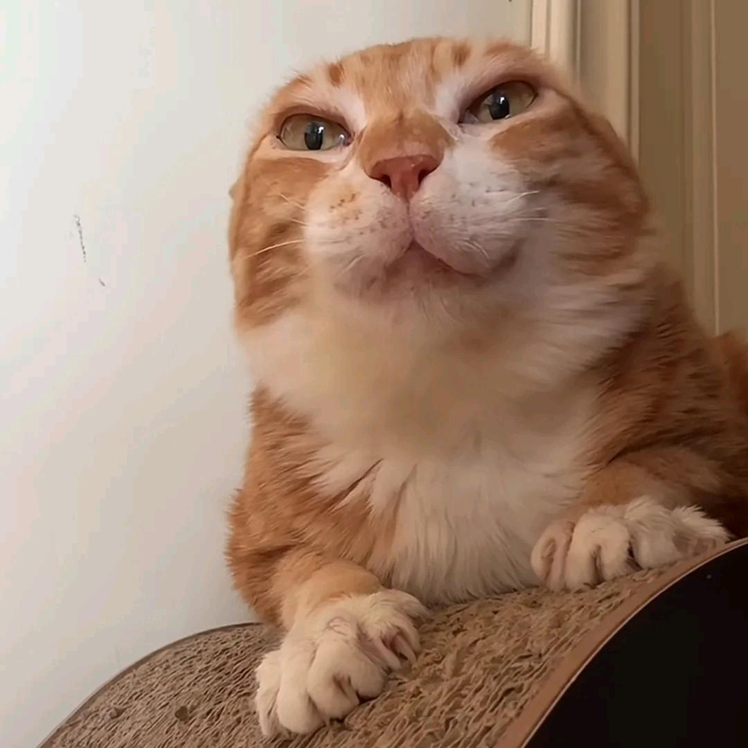 幕
