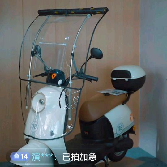 四毛