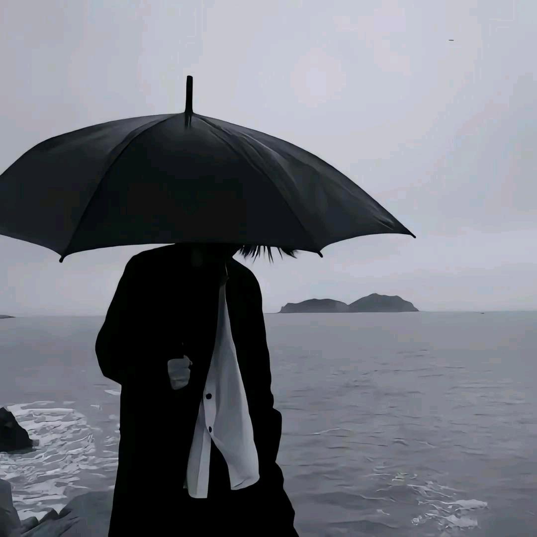 鹤川