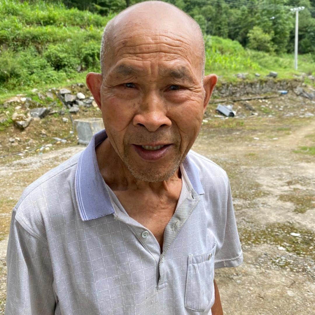 光头和刨树