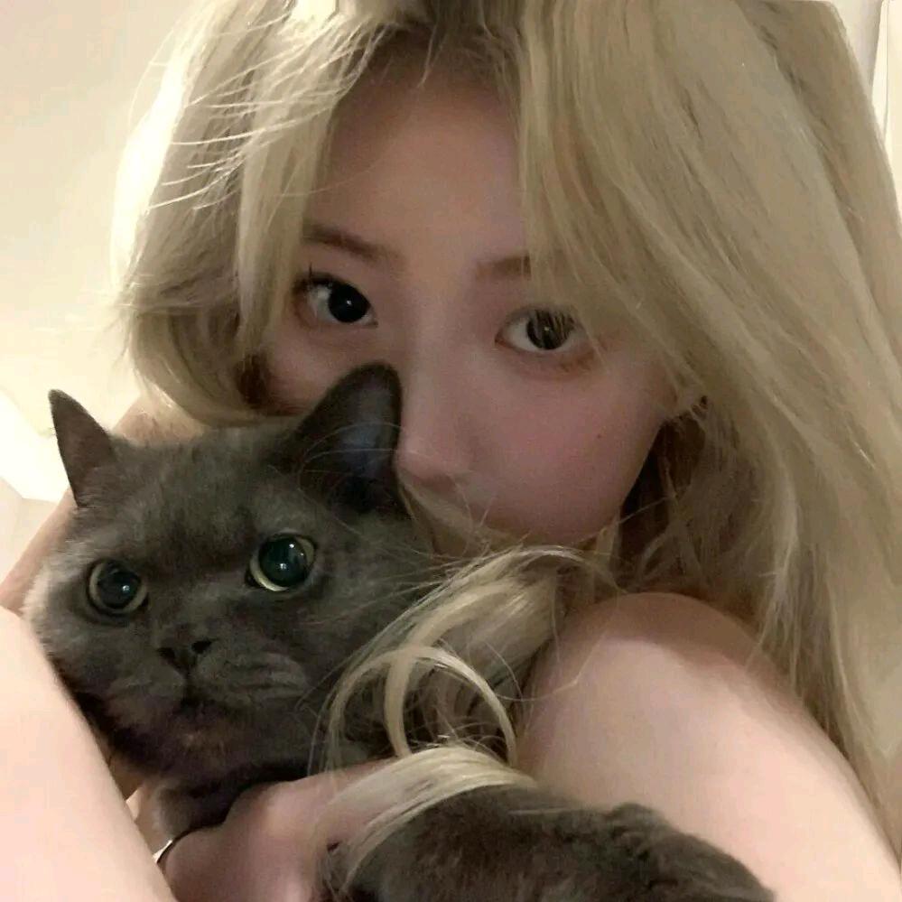 睡觉的时候不困💢