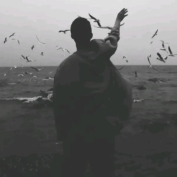 ℳღ轉身已陌鷺ꦿ࿐